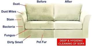Selesai collection wet & dry vacuum di seksyen 7 shah alam, pelanggan ada juga kongsikan bagaimana cleaner dia gunakan mesin ini bagi mencuci fixed carpet di pejabat. Cuci Sofa Services Home Services Cleaning On Carousell