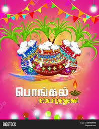 Get creative and make some real quality pongal greeting cards and personalized greeting cards! Happy Pongal Greeting Image Photo Free Trial Bigstock