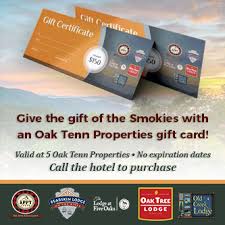 The way2go card is a reloadable, prepaid card issued by comerica bank. The Bearskin Lodge Hotel In Gatlinburg Tn