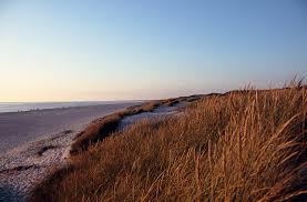 Dabei ist jeder strand für sich etwas besonderes: Datei Henne Strand Bei Sonnenuntergang Jpg Wikipedia
