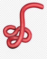 Spanish flu, also known as the great influenza epidemic or the 1918 influenza pandemic, was an exceptionally deadly global influenza pandemic caused by the h1n1 influenza a virus. Ebola Virus Western Slender Blind Snake Clipart 2922250 Pikpng