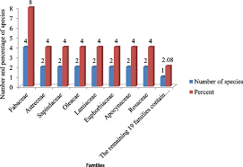Image result for Pittosporum abyssinicum