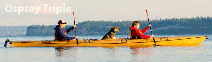 Canoe and kayak rentals with access point and campsite delivery services. Triple Sea Kayak Kit And Plans The Family Kayak