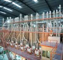 Dal Mill Plant (Multi Purpose) - Shri Viratra Engineering