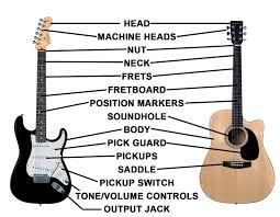 Instead, we will talk about the circuitry inside of a guitar. Classical And Electric Guitar Diagram Guitar Electric Guitar Guitar Pics