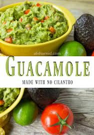 No Cilantro Guacamole Alisha Enid Guacamole Guacamole Recipe No Cilantro Guacamole Recipe