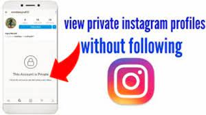 This will ask you to enter the username of the profile whose private instagram pictures and videos you would like to look at. Look At Private Instagram Account Without Following Them How To See Inactive Following On Instagram