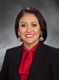 Board and Committees