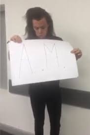 Look one direction biography and discography with all his recordings. One Direction Reveal Tracklisting For New Album Made In The Am Via Playful Snapchat Video Mirror Online