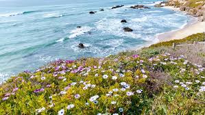 The final supermoon of the year will appear thursday. Spring At Half Moon Bay San Francisco ç•°åœ°é¢¨æƒ… Dchome Net æ•¸ç¢¼å¤©åœ°è«–å£‡ æ‰‹æ©Ÿç‰ˆ Powered By Discuz