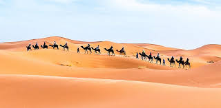 Sahara merzouga yakınlarında yapılacak şeyler. Merzouga 2021 Best Of Merzouga Morocco Tourism Tripadvisor