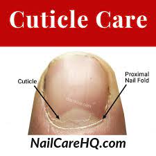 Check spelling or type a new query. The Cuticle Should You Clip Push Or Scrape Nail Care Hq