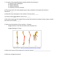 The descent with modification a powerpoint presentation about a brief introduction to plant evolution and evolution as a whole. Solved 1 For Each Of The Examples Below Indicate Whether Chegg Com