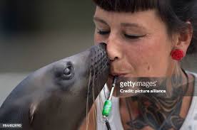 508 fotos e imagens de alta resolução de Lesley Fera