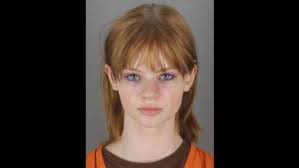 Plymouth teen sentenced to 6 years for New Hope park stabbing