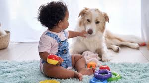 Check spelling or type a new query. Best Pets For Kids And How To Choose Them Mom Com