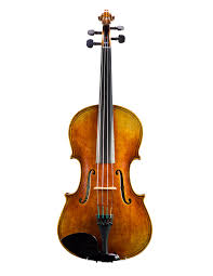 Image result for Viola eminii