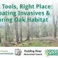 Right Tools, Right Place: Combating Invasives & Restoring Oak Habitat