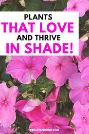 Spring summer flowers for shade. The 10 Best Plants That Grow In Shade Shade Loving Perennials Plants That Love Shade Summer Blooming Flowers