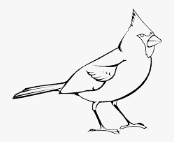 10 high quality butterfly with cardinal clipart black and white in different resolutions. 28 Collection Of Cardinal Clipart Black And White Hd Png Download Transparent Png Image Pngitem