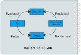 Bagan sederhana karyamu sendiri untuk menjelaskan siklus air. Kunci Jawaban Kelas 5 Tema 8 Sd Mi Subtema 1 Manusia Dan Lingkungan Halaman 8 10 13 Dan 14 Kabar Lumajang Halaman 5