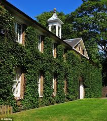 This is particularly a problem when ivy is allowed to top a garden wall. Why Ivy Creeping Up The Walls Of Your Home Could Actually Protect The Building Thanks To Thermal Shield Daily Mail Online