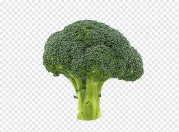 We did not find results for: Kembang Kol Sayuran Brokoli Brokoli Sayur Daun Selamat Ulang Tahun Gambar Vektor Rumput Png Pngwing