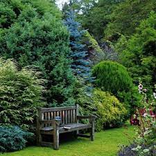 Deswegen erhalten sie bei uns alle leistungen im bereich garten und pool aus. Immergrune Gartenpflanzen Straucher Und Hecke Fur Frische Landschaft Immergruner Garten Garten Hecken Garten