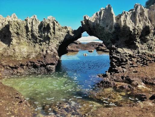 Pantai Ngliyep - Wikipedia bahasa Indonesia, ensiklopedia bebas