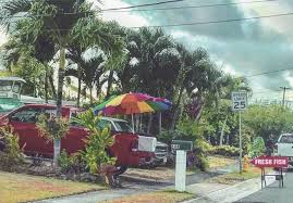 Looking for stores to shop around you? Living In Kailua Oahu 5 Top Reasons Kailua No Ka Oi