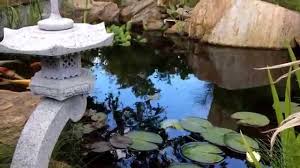 Choose your favorite koi pond designs and purchase them as wall art, home decor, phone cases, tote bags, and more! My Japanese Garden Koi Pond Summer 2014 Youtube