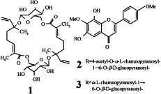 Image result for Dicliptera laxata
