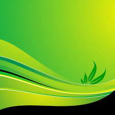 ربيع مثلا خلاصة فن خلفيات png والمتجهات للتحميل مجانا spring illustration pirate art plant leaves