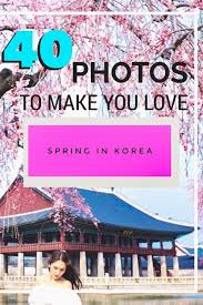 Spring In Korea 40 Photos To Convince You It S The Best Time To Visit South Korea Korea Travel Travel Destinations Asia Travel