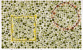 Evolution and impact of eye and vision terms in written english. Color Vision Test Answers