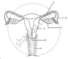 We did not find results for: Important Questions For Icse Class 10 Cisce Biology Shaalaa Com