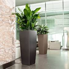 The Art Of Decorating With Tall Planters Tall Planters Modern Outdoor Plant Pots House Plant Pots
