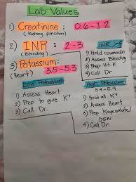 33b15edd1073e5bb095e02ba20c72103 Jpg 720 960 Pixels Nursing School Studying Nursing School Survival Nursing School Tips