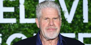 Hellboy's Ron Perlman, 72, Went Fully Loaded with Cuddly Toys for  Grandson's 1st Birthday