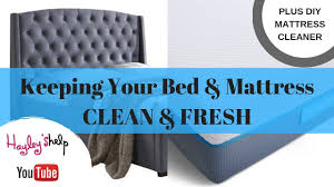 With so many mattress cleaners out there, we did our best to narrow it down to the most effective ones out there. How To Clean Mattress Bed Frame Diy Mattress Cleaner Part 1 Bed Clean With Me Youtube