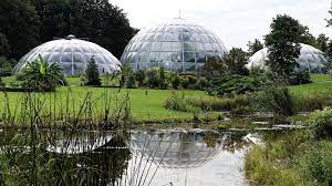Suchen sie in stockfotos und lizenzfreien bildern zum thema botanischer garten von bogor von istock. Botanischer Garten Zurich Wikipedia