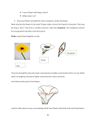 The female parts of a flower. Science Around Us Book 6 Pages 51 100 Flip Pdf Download Fliphtml5