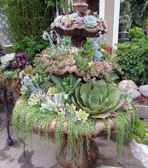 I found a wheelbarrow planter at the hardware store earlier this summer, and i knew it would make the perfect succulent fairy garden. 35 Genius Diy Outdoor Succulent Garden Ideas For Spring To Try 35 Genius Diy Outdoor Succulent Garden Plants Succulents Succulents In Containers