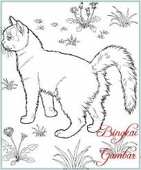 Kejam dua anak kucing ini diwarnai lalu disodorkan pada anjing. Sitting Persian Cat Coloring Page Free Coloring Library