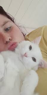 Cats that like to lay and sit funny