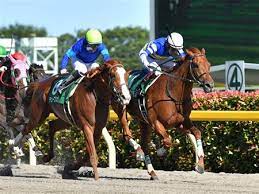 Näytä lisää sivusta 株式会社インターネットイニシアティブ （iij） facebookissa. å…µåº«ã‚´ãƒ¼ãƒ«ãƒ‰ãƒˆãƒ­ãƒ•ã‚£ãƒ¼ ï½Šï½'ï½ã®å‡ºèµ°äºˆå®šé¦¬ç™ºè¡¨ ã‚µãƒ³ã‚¹ãƒzbat ç«¶é¦¬