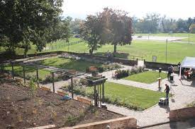 Gelnhausen, müllerwiese, nahe der zehntscheune. Das Rosengartchen An Der Mullerwiese Gelnhausen Erleben Facebook