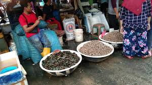 Ikan ini berhaga mahal kerana ianya terkenal dengan harga ikan patin muncung sungai pahang mendominasi senarai harga ikan air tawar di negeri tersebut apabila mencecah rm280 hingga. Daftar Harga Ikan Di Muara Angle Untuk Dipanggang Di Malam Tahun Baru 2019