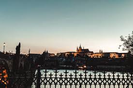 Maybe you would like to learn more about one of these? Prag Mit Hund Der Perfekte Corona Urlaub Black Is My Silver Lining