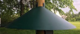 Make sure what type should work best for you and then diligently follow all the instructions for installation such as how high on the pole you. The Best Squirrel Baffles For Any Situation 11 Ideas Bird Watching Hq